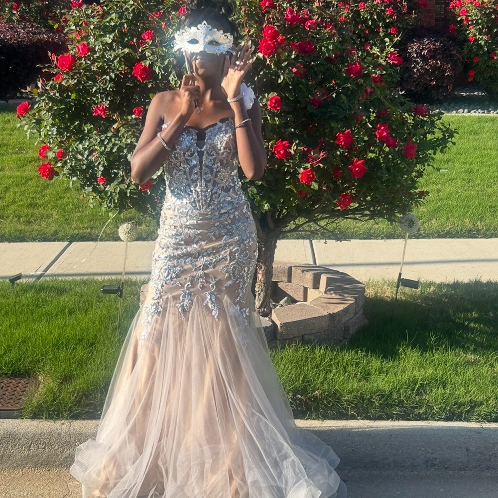 Elegant Silver and Nude Gown (Mask not included)